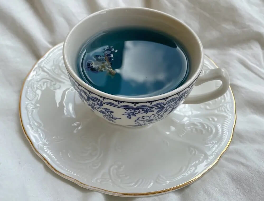 Blue tea in a cup